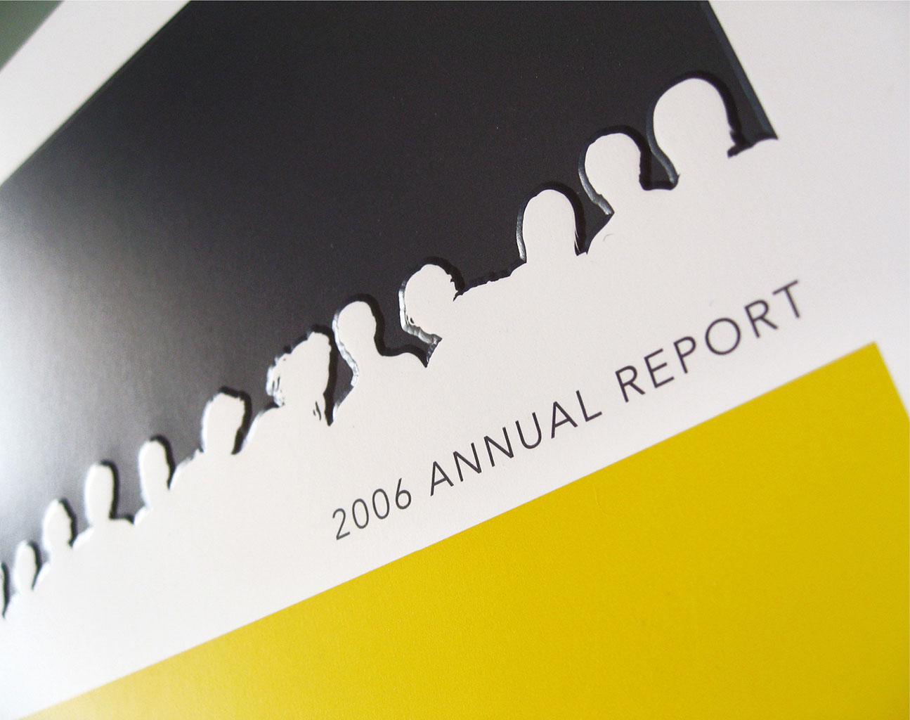 2006 Annual Report | Novare Group | Atlanta, GA